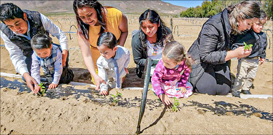 Children and house parents from El Oasis ceremonially plant the first seedling pepper plants during the dedication of the 2022 pepper crop at the El Oasis farm.